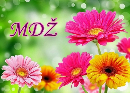 MDZ 25