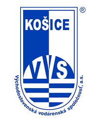 logo VVS
